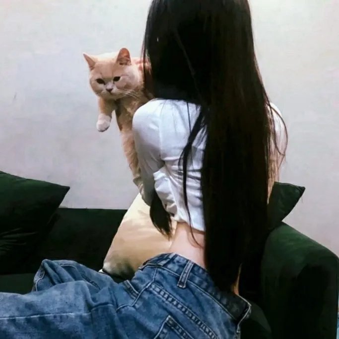 家有超能迪翁第二季